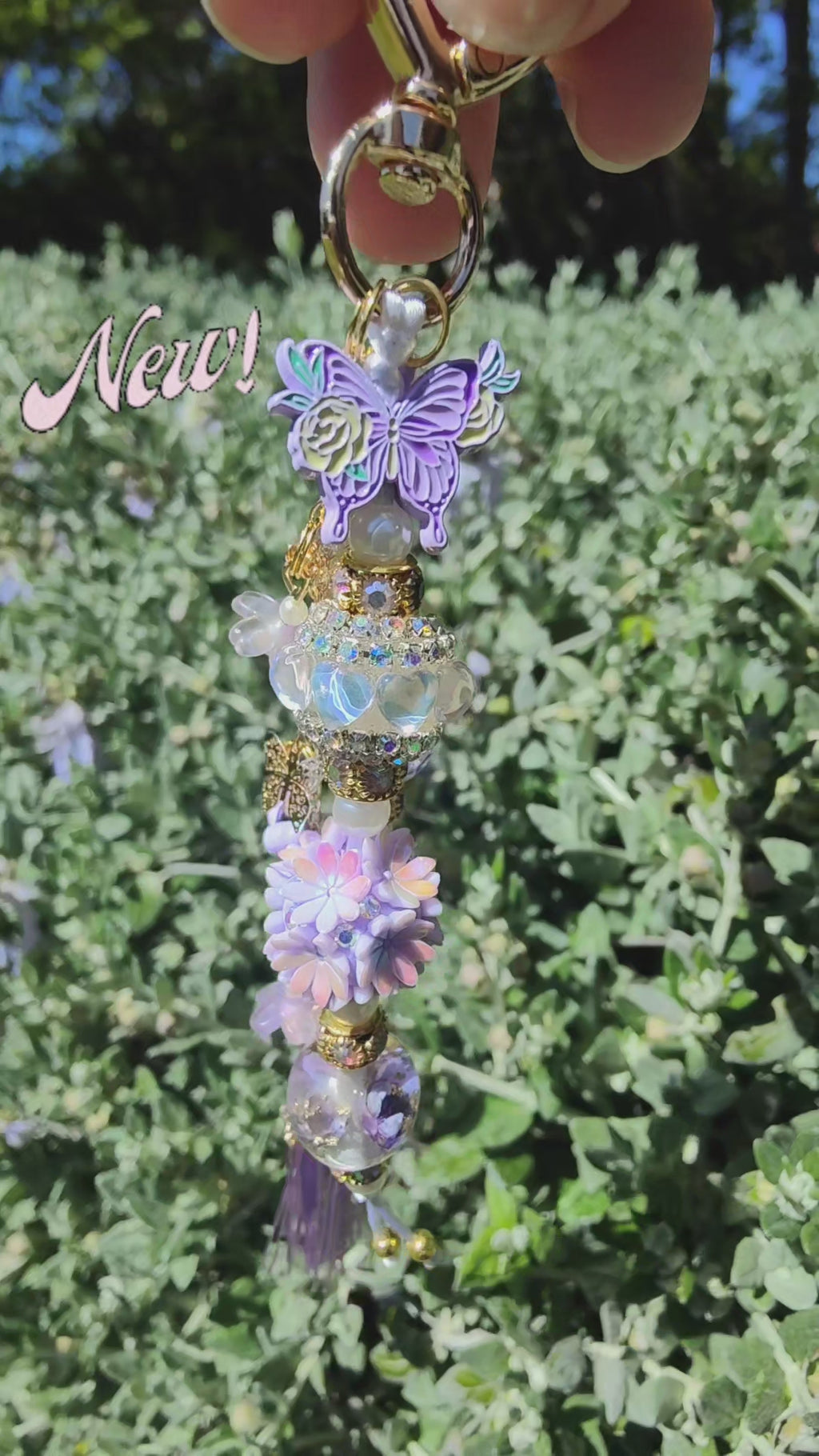 Butterflies in Spring